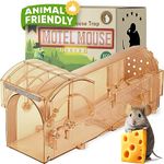 Motel Mouse Humane Mouse Traps for Indoor & Outdoor - Easy to Use, Easy to Clean, Reusable, No Touch Release, Improved Highly Sensitive Trigger Mechanism - Comes with Instruction Manual & Video