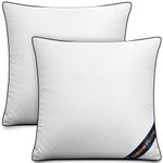 Utopia Bedding Throw Pillow Inserts (Pack of 2, White), 26 x 26 Inches Decorative Indoor Pillows for Sofa, Bed, Couch, Cushion Sham Stuffer