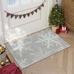 Lahome Snowflake Entryway Rug- 2x3 Small Rug Ultra-Thin Soft Kitchen Rugs Non Slip Indoor Door Mat, Rubber Backing Throw Carpet Washable Rugs for Entryway Bathroom Bedroom(2x3ft,Grey)