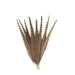 Zucker Feather Products Pheasant Feather, Natural