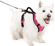 PetSafe EasySport Dog Harness – Adjustable Padded Dog Harness with Control Handle and Reflective Piping – Small, Pink