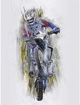 Dirt Bike Motocross Sport Graphic Art Print Poster Wall Decor 12X16 Inch