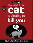 How to Tell If Your Cat Is Plotting