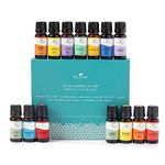 14 Essential Oil Set (7 Synergies and 7 Singles) Includes 100% Pure, Therapeutic Grade of: Sensual , Energy, Germ Fighter, Relax, Immune-Aid, Tranquil, Invigor-Aid, Lavender, Peppermint, Eucalyptus, Tea Tree, Orange, Lemon & Cinnamon. 10 ml each.