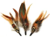 Touch of Nature 3-Piece Natural Feather Pick with Nylon Loop for Arts and Crafts, 4.5-Inch, Ringneck Pheasant