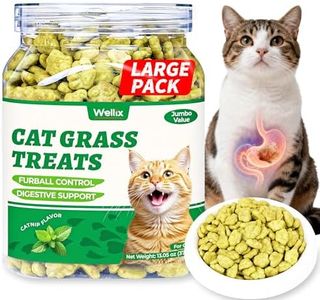 Wellix Cat