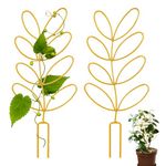 Metal Trellis for Potted Plants, 2 Pack 12'' Small Leaf Shape Plant Climber Supports Mini Garden Trellis Indoor Climbing Plants Stakes Houseplant Accessories for Hoya Vines, Pothos, Flower, Monstera