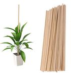 GREENARTZ® 12 Pcs Wooden Support Garden Sticks Stakes (Teak Wood - 2 Feet) for Plants Creepers Climbers Stem Support Climbing Support