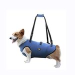 COODEO Dog Lift Harness, Pet Support & Rehabilitation Sling Lift Adjustable Padded Breathable Straps for Old, Disabled, Joint Injuries, Arthritis, Loss of Stability Dogs Walk (Blue, M)