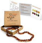 Amber Guru Baltic Amber Necklace (A