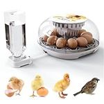 12 Eggs Automatic Egg Incubator, Di