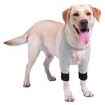 Elbow Pad For Dogs