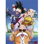 ABYstyle - DRAGON BALL - "Kame Team" Poster (52x38)