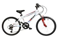 Dallingridge Brave Junior Hardtail Mountain Bike, 20" Wheel, 6 Speed - White/Red