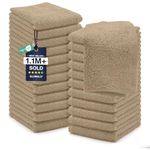 DAN RIVER 100% Cotton Washcloths 24 Pack Premium Quality Face and Body Cloth, Quick Dry Essential Towels for Bathroom, Hand, Kitchen & Cleaning, Baby Washcloths | 12X12 in | 400 GSM | Tan