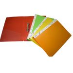 Classik 2D Ring Binder File - F/S Size - 4 Pack