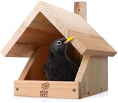 Blackbird Nest Box - Bird House for