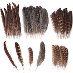 TOTSUN 40 Pcs Natural Pheasant Feathers 10-25 Cm Brown Speckled Feathers DIY Pheasant Tails Feather Pheasant Feather for Crafts Hats Wreath Party Deco Cosply Props (4 Sizes)