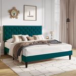 Lemon Tree Furniture Low Profile Upholstered Platform Queen Size Bed for Bedroom | Upholestery Premium Velvet Cot Bed for Home (Green)