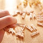 Nisco 20 Pcs Mini Wooden Clips, Multi-Function Cloth pins, Photo Paper Peg, Pin Craft Clips for Home School Arts Crafts Decor, Size: 3.5 cm