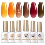 BORN PRETTY Jelly Gel Nail Polish Crystal Translucent Shellac Nail Gel Polish 6 Colours Set Dark Red Brown Colors Sheer Gel Polish Kit for Salon Gel Manicure and Nail Art DIY at Home