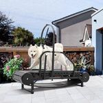 Dog Treadmill for Large Dogs & Medi