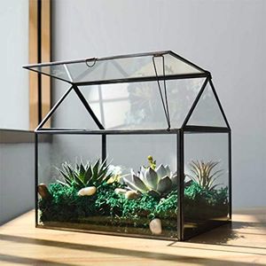 Large Glas