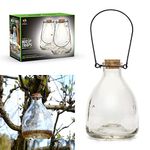 Set of 2 WASP TRAP Catcher Glass Bottle with Metal Hanger By CKB LTD - Traditional Attractive Hanging Honey Pot Design Insect Catcher Trap Indoor Outdoor Garden Pest Control DOUBLE PACK CKB-WC02