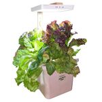 GreenLoop Grow+, Indoor Hydroponic System to Grow Veggies & Flowers, Very Easy, Fast, Your Indoor Garden, 1 Complete Set