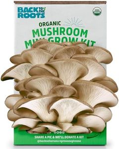 Back to the Roots Organic Mini Mushroom Grow Kit, Harvest Gourmet Oyster Mushrooms In 10 days, Top Gardening Gift, Holiday Gift, & Unique Gift