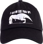 Ann Arbor T-shirt Co. Assorted Funny Dad Humor Joke Baseball Hats, Black, One Size