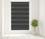 Caecus Black Day and Night Zebra Ro