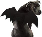 Rypet Dog Bat Costume - Halloween P