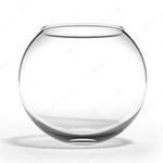 CAS Glass Fish Bowl 6.5 litres (10 INCH, Without Neck Collor (W/C))