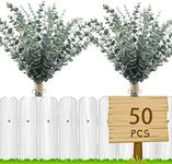 50pcs Eucalyptus Stems Artificial E