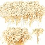 90+Pcs Mini Dried Babys Breath Flowers, 4700+ Ivory White Baby Breath Flower Bulk, Dried Flowers for Crafts, Wedding Decor Boho Invitation, Resin Candle Making, Dry Babies Flowers, Gypsophila Gifts