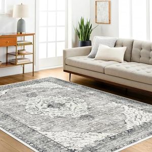 Area Rugs 