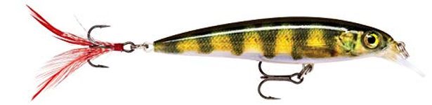 Rapala X-Rap 10 Live Perch