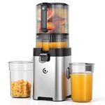 AMZCHEF Cold Press Juicer Machine, 6.5" XL Feed Chute, 600W DC Motor, Slow Masticating Juicer with Pre-Cut Blade, 2 Strainers for Juice, Nut Milk & Sorbet, High Juice Yield, Easy to Clean
