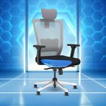 The Sleep Company Stylux Premium Ergonomic Office Chair | Patented SmartGRID Technology | SpinePro Adjustable Lumbar Support for Desk Chair | Chair for Work, Home, Study | Enduring Design | Grey