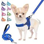 Lukovee Dog Leashes for Small Dogs, Lightweight Soft Small Dog Harness Neck & Chest Adjustable, Reflective Harness Anti-Twis Puppy Harness Vest Harness (XX-Small, Blue)