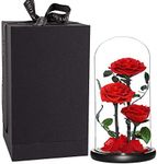 Perfectione Roses Handmade Preserved Rose in Glass Dome, Red Roses, Birthday Gifts for Women