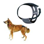 Trixie: - Protective Pants for Female Dogs | Designed for Dogs in The Season to Prevent Staining of Carpets & Other Fabrics | Handy Snap Clip Makes It Easy to Put On | Washable - XL: 60-70cm