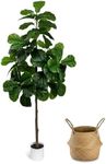 LuceAlberi Artificial Fiddle Leaf F
