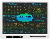 22" Kids & Adult Color LCD Drawing 