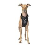 Canada Pooch Everything No Pull Dog Harness - Easy Walk Harness for Dogs with Breathable Mesh Exterior, Adjustable Dog Walking Harness Great for Dogs Black/M