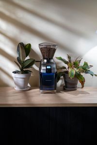 Baratza Virtuoso+ Coffee Grinder – Conical Burr, Adjustable Grind
