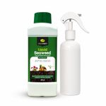 GREENFINITY Seaweed Pro Liquid Concentrate 250ml For Indoor & Outdoor Plants With Measuring Cup & Empty Spray Bottle | Growth Booster Liquid Fertilizer | 250ml