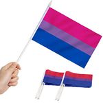 Anley Bisexual Pride Mini Flag 12 Pack - Hand Held Small Miniature Bi Pride Rainbow Flags on Stick - Fade Resistant & Vivid Colors - 5x8 Inch with Solid Pole & Spear Top