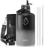 Insulated Water Bottle with Straw L